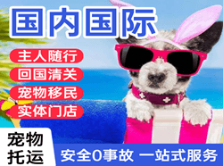 奇台江航空空运国际宠物托运 【国